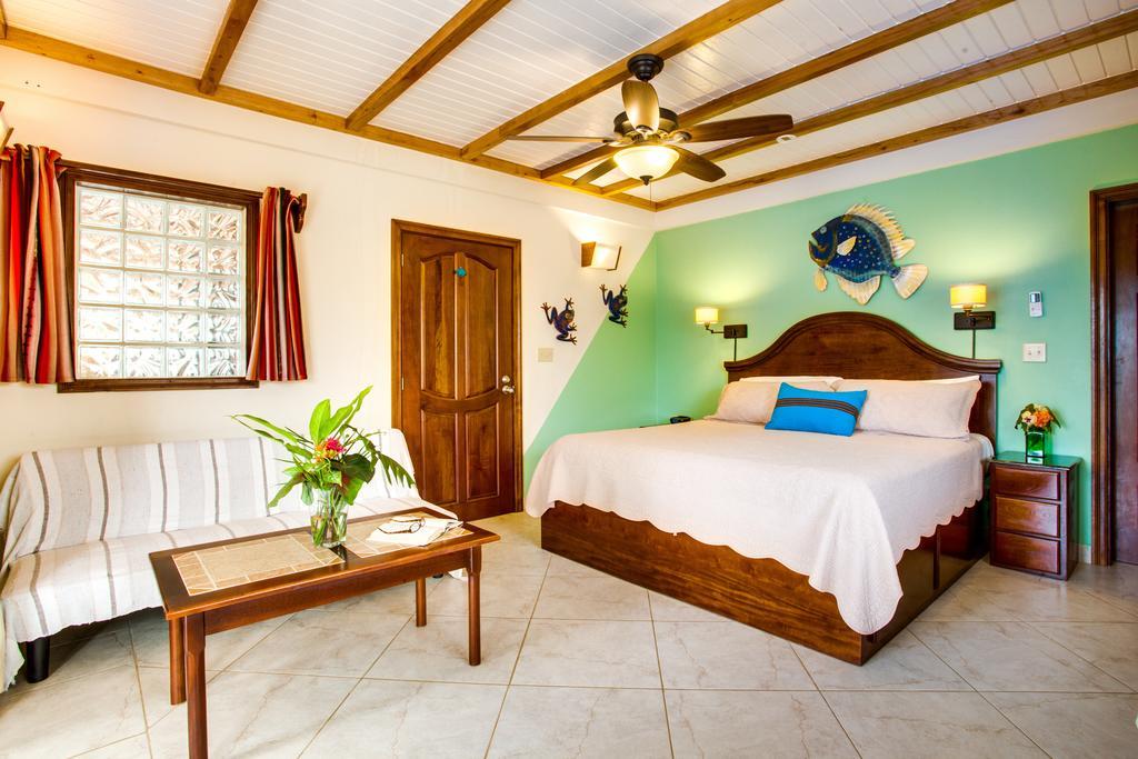 Buttonwood Belize 호텔 홉킨스 객실 사진