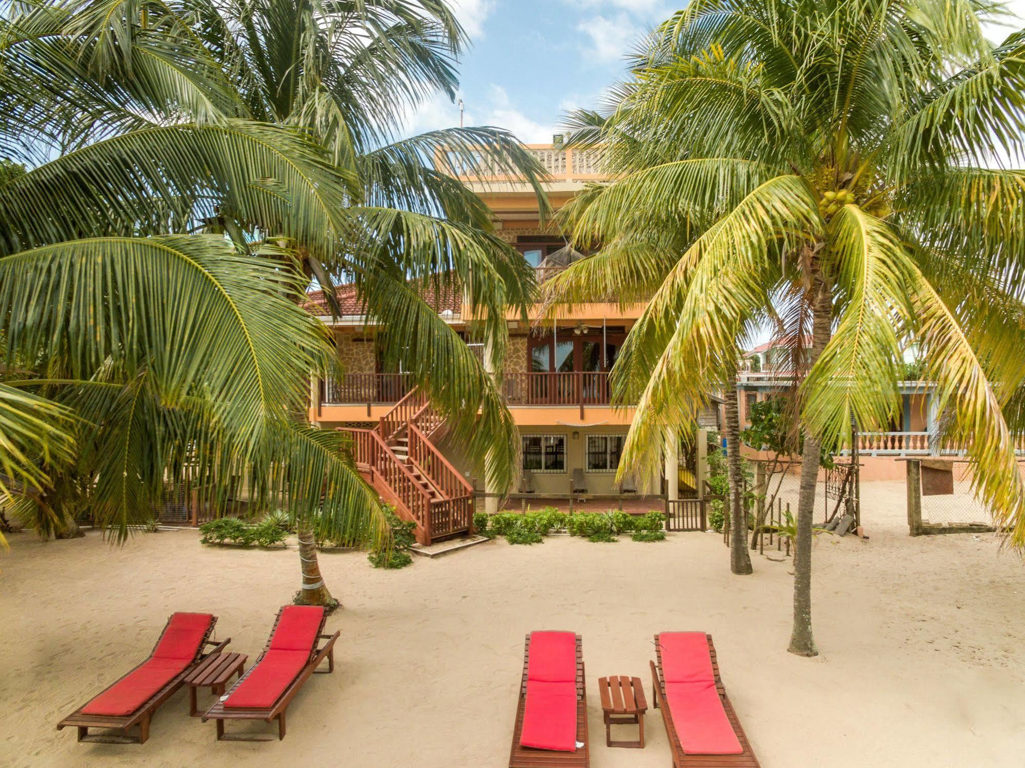 Buttonwood Belize 호텔 홉킨스 외부 사진